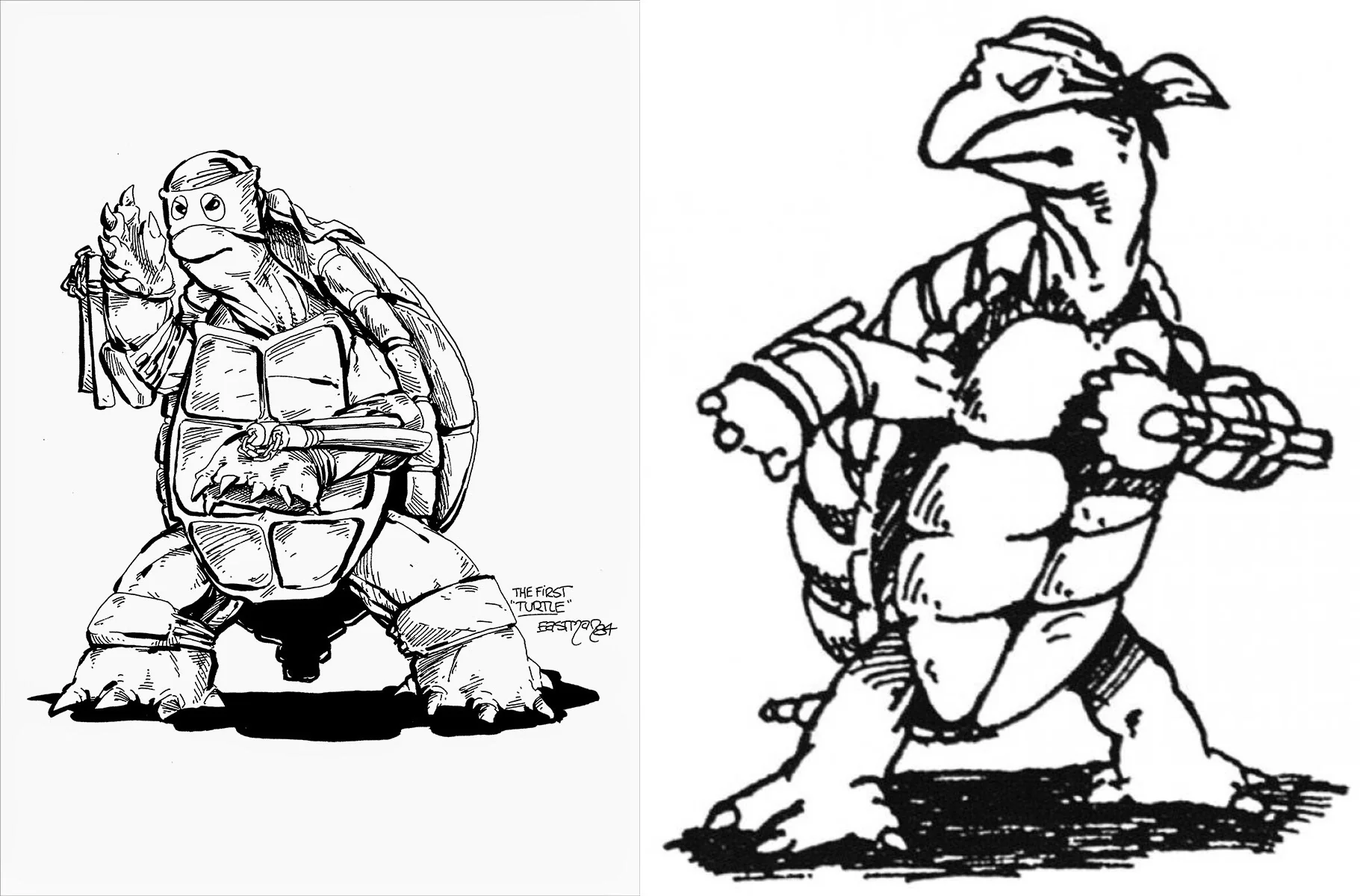 Creation of TMNT